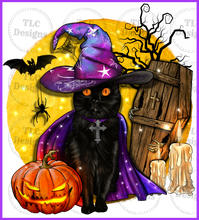 Load image into Gallery viewer, Black Witch Cat Coffin And Moon Full Color Transfers
