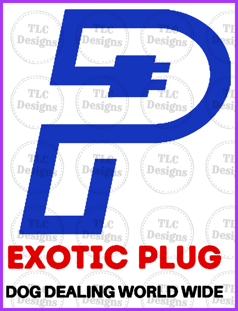 Exotic Plug Full Color Transfers