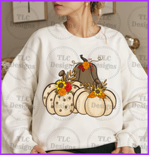 Load image into Gallery viewer, Fall Neutral Pumpkins Full Color Transfers
