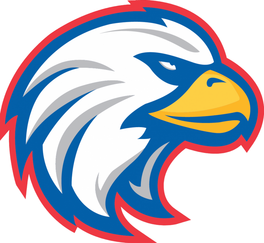 Eagle Mascot Full Color Transfers