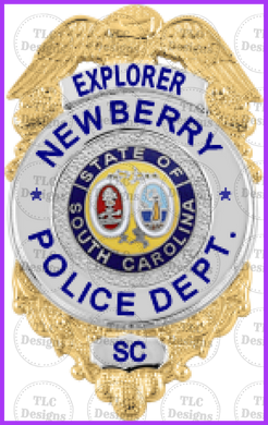 Newberry Explorer Badges Full Color Transfers