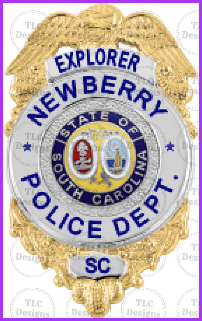 Newberry Explorer Badges Full Color Transfers